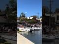 Finding Gluten Free and Vegan Dining in Annapolis, Maryland #shorts #glutenfree #vegan
