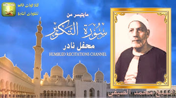 مايتيسر من سورة التكوير الشيخ محمد الصيفي