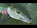 10 tips for catching big bonefish on the fly