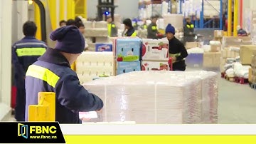 Gỡ nút thắt phát triển nhân lực ngành Logistics | FBNC