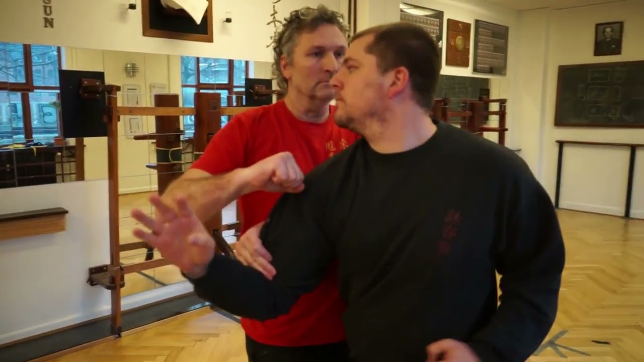Wing Tsun Biu Jee - Chi Sau sections and applications