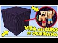 SI PUÒ SOPRAVVIVERE IN UN CUBO DI OSSIDIANA? - Minecraft ITA