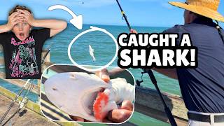 shark ripped half