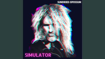 Simulator