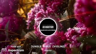 JINGLE  BELLS (VIOLINO x REBASSRACK EXCLUSIVE)