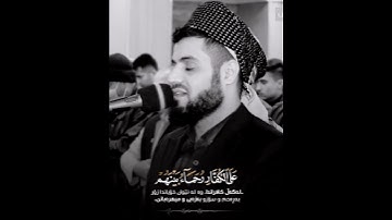 ﴿ مُّحَمَّدٌ رَّسُولُ اللَّهِ ۚ﴾  رعد الكردي سورة الفتح