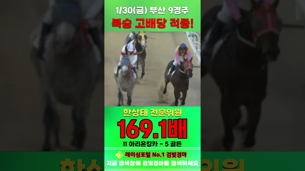 [부산 경마] 1월 30일 금요 9경주 한상태 전문위원 복승 고배당 적중 #경마 #horse #한국마사회 #automobile #하이라이트 #비트코인 #비트코인 #게임 #뉴스