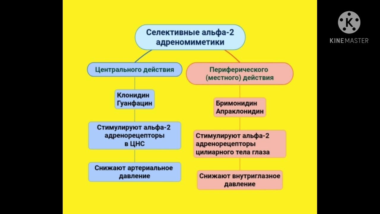 Альфа адреномиметики центрального действия. Селективный Альфа 2 адреномиметик. Клофелин это Альфа 2 адреномиметик. Альфа2-адреномиметик центрального действия. Альфа2-адреномиметик Центральный препараты.