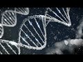 Genetics and Evolution Concepts