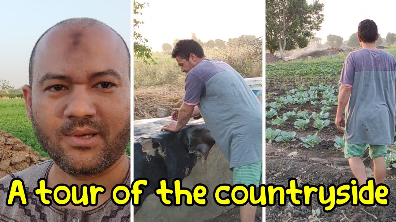 روحت الغيط انا وعيد نشوف الزرع وخلعنا الطرمبة عشان نصلحها