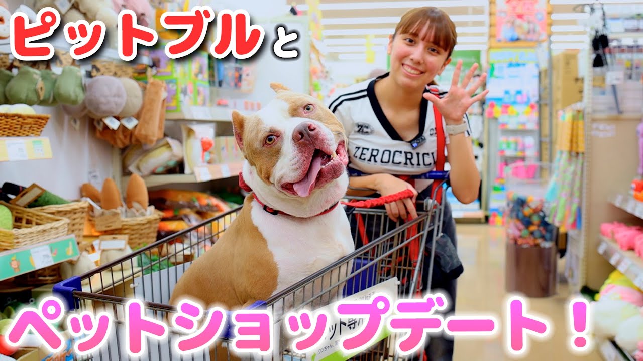Pet store date with Rocky! Treats and toys! He's so popular lol