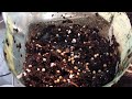 Beginning of video