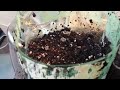 Middle of video