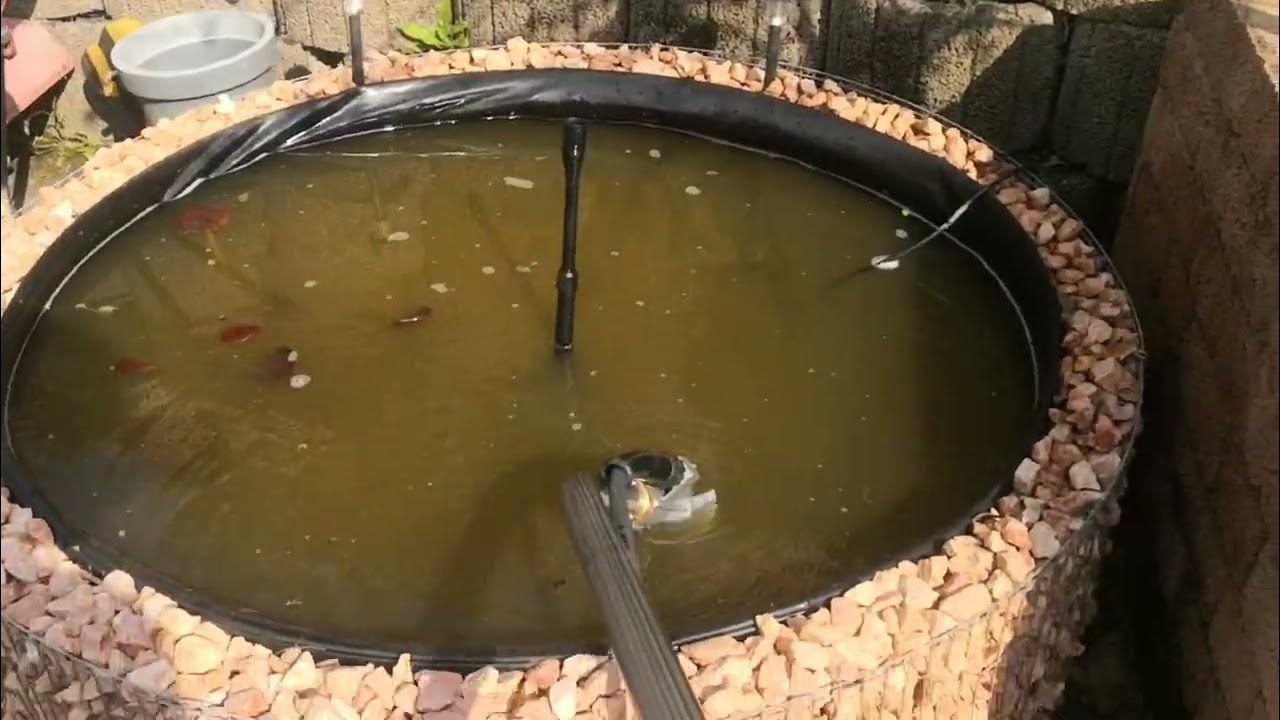 Kränzle Teich Schlammsauger Mieten W&H Richter YouTube
