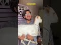 Desi famali ka pat #comedy #funny #shortvideo