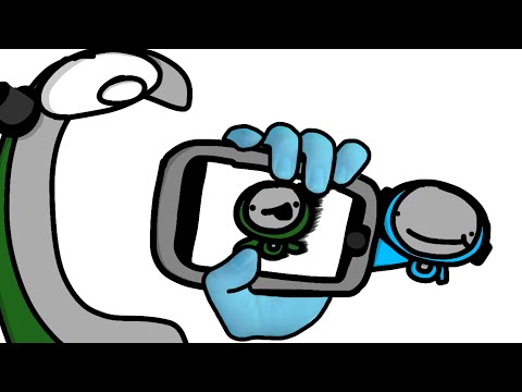 Animating random Monkes