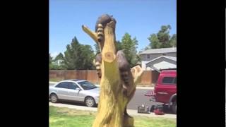 sculpture art sculpted snakes and weasels sculpted from one piece of wood by NHD-TV 3,353 views 8 years ago 3 minutes, 52 seconds