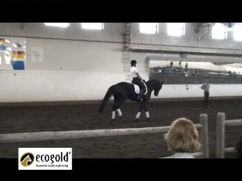 Part 1/3 - Steffen Peters with Andrea Bresee & Dis...