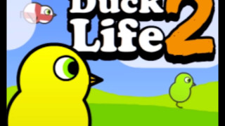 Duck Life Theme Song - Flat