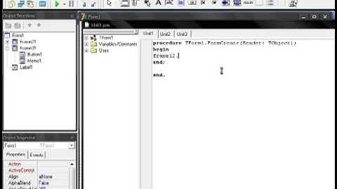 delphi frame كيفية إستخدام الفرام في الدلفي  dzinfo.net