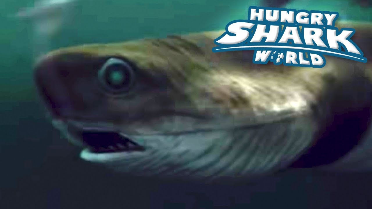 Cookie Cutter Shark!!! - Hungry Shark World | Ep 62 HD ...
