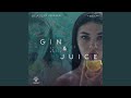 Gin & Juice (Chilled Mix)