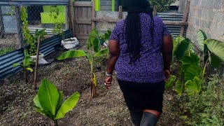 Farm to Table {Enjoying Our Harvest} | Special African Recipe⁉️FarmSteading Vlog| #Simple