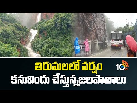 తిరుమలలో వర్షం కనువిందు చేస్తున్న జలపాతాలు | Tirumala | Heavy Rains | 10TV News - 10TVNEWSTELUGU