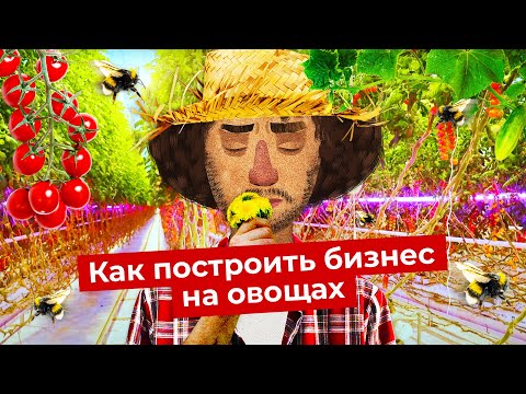 Революция на грядках | Как выращивают овощи при помощи искусственного интеллекта