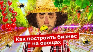 Революция на грядках | Как выращивают овощи при помощи искусственного интеллекта