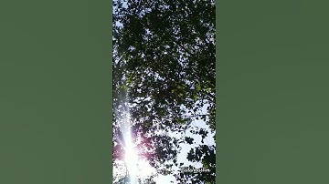 قرآن كريم بصوت جميل #استغفر_الله #quran #nature #اكسبلور #دروس_إسلامية #تلاه_خاشعة
