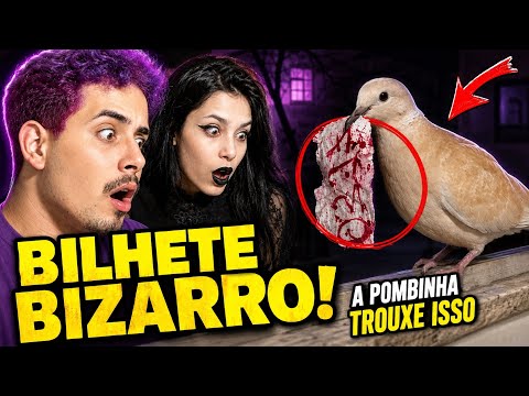 THE DOVE BROUGHT A BIZARRE NOTE 🕊️😱