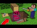 Minecraft NOOB vs PRO: WHO LEFT THIS MAGIC DOOR WITH CHAINS UNDER NOOB TREE? 100% trolling