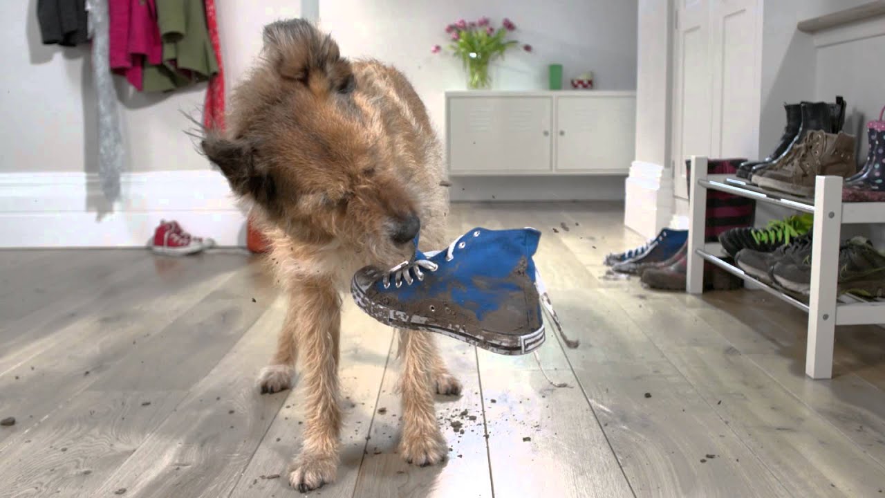 tv kanalları Dyson V6 serie steelstofzuigers