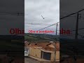 #olha a pombinha.