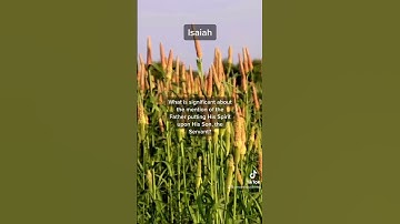 Thumbnail of Top Questions about the Book of Isaiah