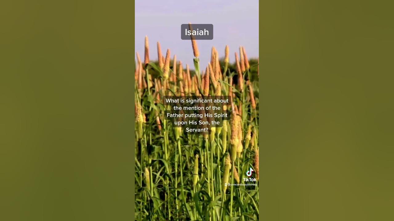 Top Questions about the Book of Isaiah