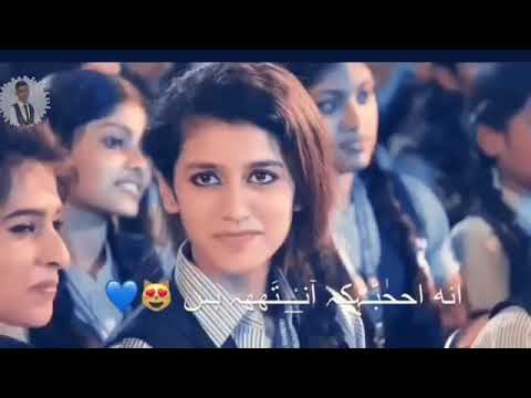 بس بس اني احبك نتة بس وكلبي اكة رمس