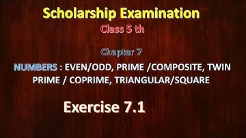 Scholarship 5 th Maths chapter 7| Ex 7.1 Even/Odd, Composite Twin prime/Coprime, Triangular ,square