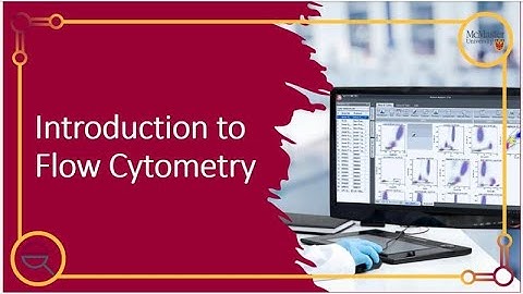 An Introduction to Flow Cytometry