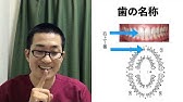 歯の名称と歯式の書き方 歯科助手 歯科衛生士学生向け Youtube