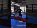 CANELO SPARRING FOR JERMELL CHARLO FIGHT