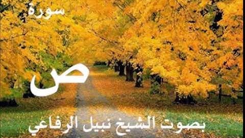 سورة ص بصوت الشيخ / نبيل الرفاعي 38