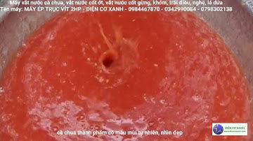 Máy vắt nước cốt cà chua nguyên chất, vắt nước cốt ớt nguyên chất - Điện Cơ Xanh - 0984467870