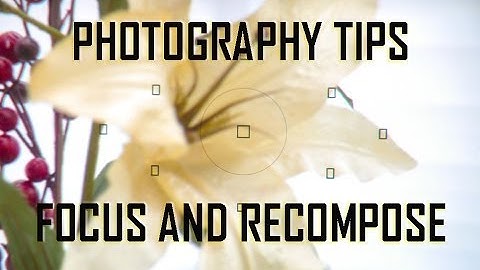 Photography Tips - Focus and Recompose