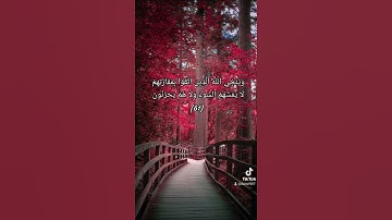 وينجي الله الذين اتقوا بمفازتهم لا يمسهم السوء ولا هم يحزنون - سورة الزمر - علي جابر