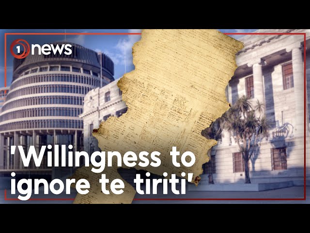 Govt plan to repeal or replace Treaty principles in legislation begins | 1News class=