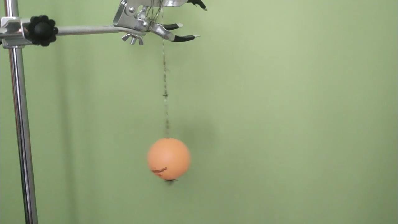 Showing the vibrations of a tuning fork with a ping pong ball YouTube