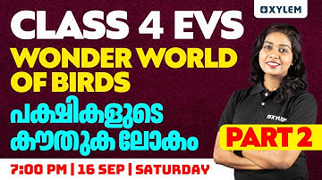 Class 4 EVS - The Wonder World of Birds / പക്ഷികളുടെ കൗതുക ലോകം - Part 2 | Xylem Class 4