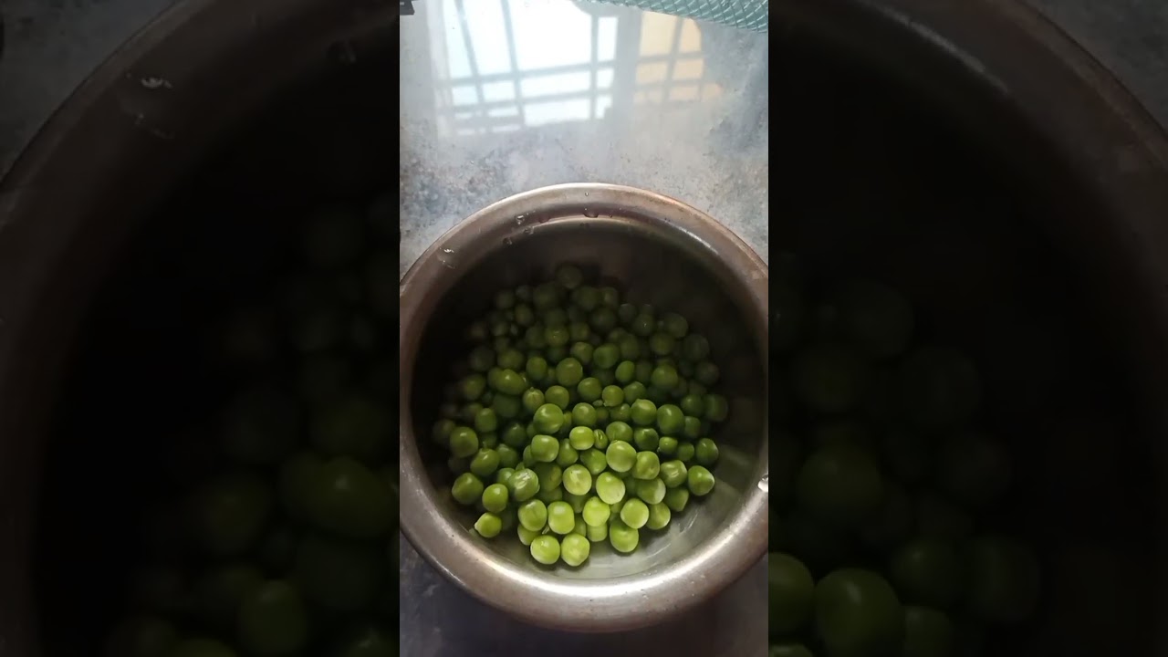 #@#. Mater masroom respi #@#